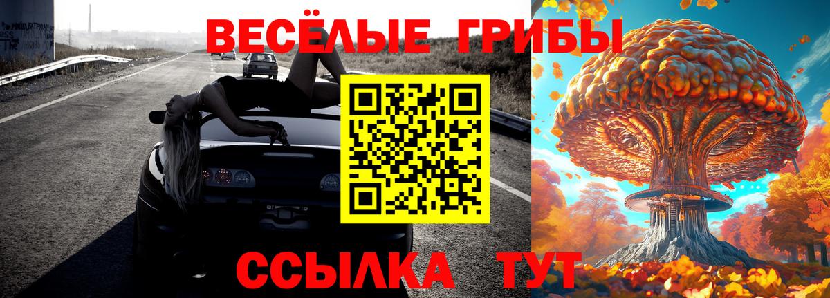 Псилоцибиновые грибы Psilocybe  Кизилюрт  Псилоцибиновые грибы Psilocybe 