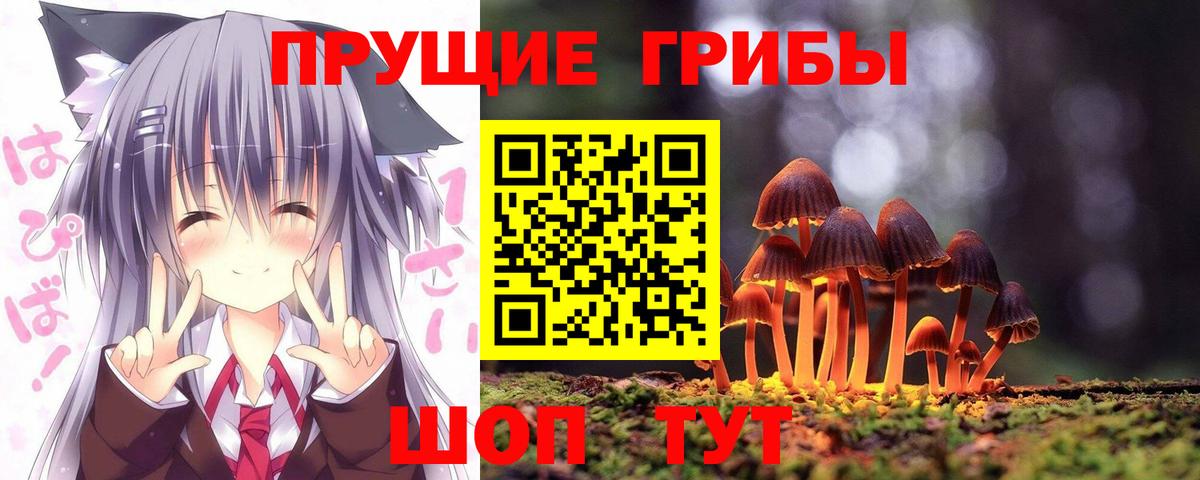 Псилоцибиновые грибы мицелий  Вход с VPN  Кизилюрт 